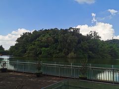 -李小龙乐园(顺德均安店)