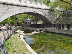 -白水寺森林公园