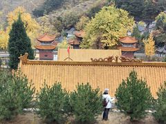-遵化市禅林寺古银杏风景园