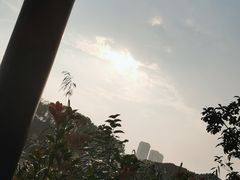 -葛仙湖公园