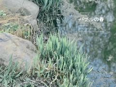 -前关湿地公园