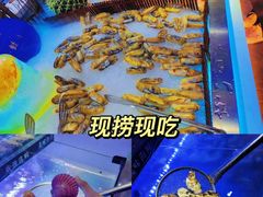 -星海汇海鲜烤肉火锅自助(二七广场百年德化店)