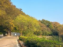 -南京市江宁方山