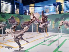 -国家自然博物馆