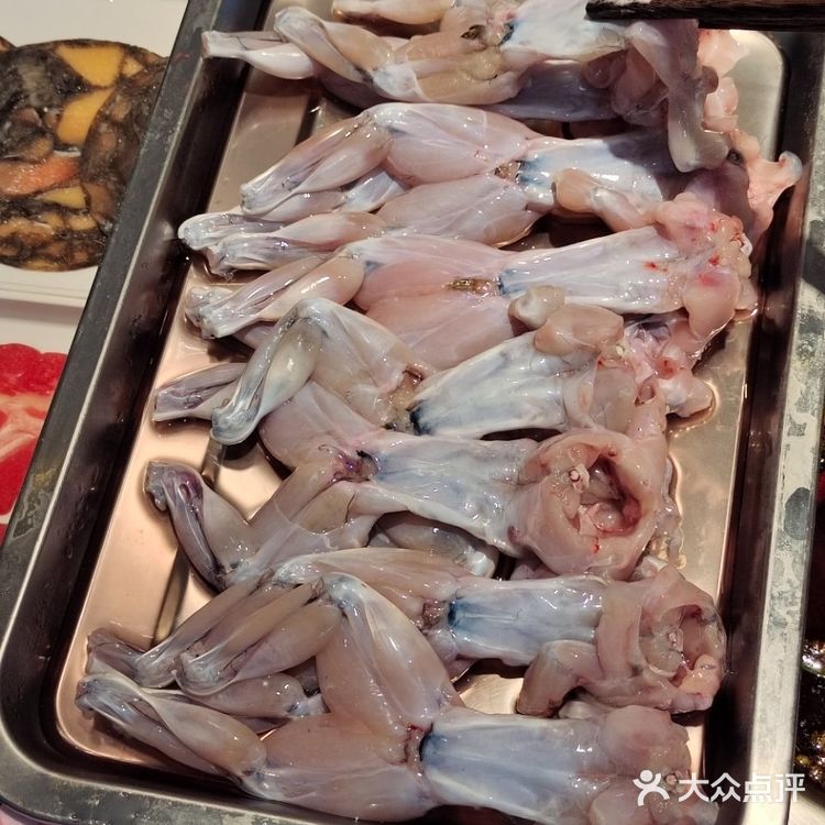 家人们!来这里实现蛙蛙自由了!