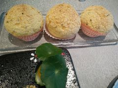 -汤臣·空中餐厅·严选粤菜(石湾世博广场店)