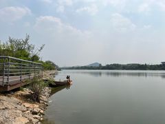 -羊山湖公园