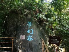 -呀诺达热带雨林