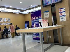 -中国移动(高升桥营业厅)