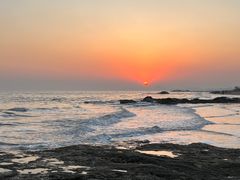-大连老虎滩海洋公园