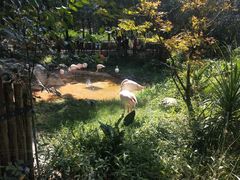 -昆明动物园