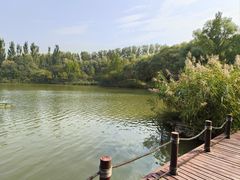 -翠湖国家城市湿地公园