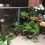 这样常见的两室户型还带阳台花园,真的很不错,准备入住了