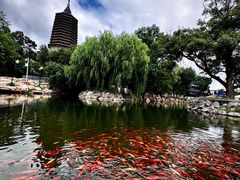 -广佑寺风景区