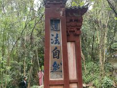 -成都老君山