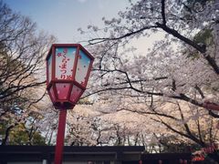 -名古屋城