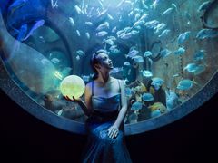 -成都浩海立方海洋公园