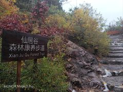 -仙居谷风景区