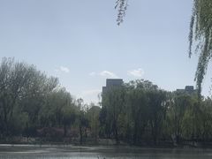 -WhaleSports户外水上运动俱乐部(朝阳公园店)