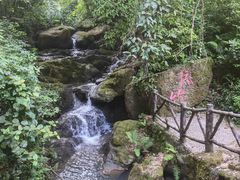 -大雁山风景区