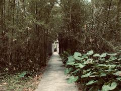 -开平碉楼文化旅游区马降龙景区