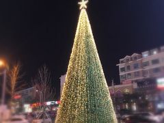 -高新活力汇Vitality