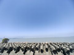 -上海滨江森林公园
