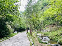 -十渡东湖港风景区
