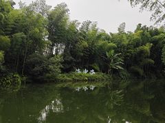 -蜀南竹海景区