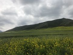 -扁都口生态休闲旅游区