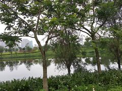 -飞来湖湿地公园