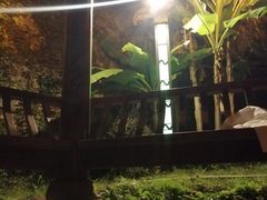 -剑河仰阿莎温泉小镇