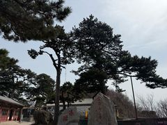 -妙峰山风景名胜区