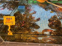 -79号渔船海鲜饭店(宝安店)