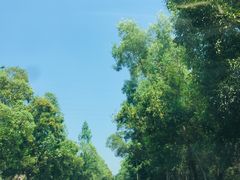 -那琴半岛地质海洋公园