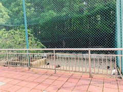 -南京金牛湖风景区