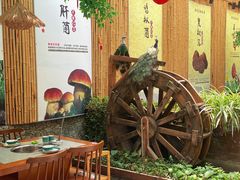 -大理董·董家小厨野生菌火锅(古城旗舰店)