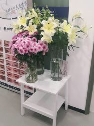 -联合丽格·张菡丽格医疗美容