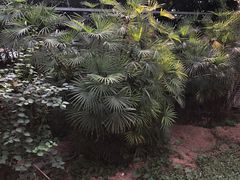 -龙达温泉生态城