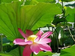 -长春市南湖公园