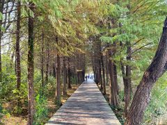 -溱湖国家湿地公园