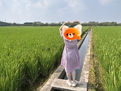 -嘉北郊野公园