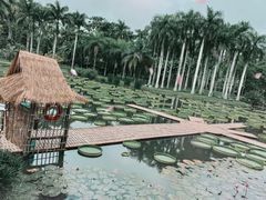 -中国科学院西双版纳热带植物园