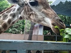 -荆州中山公园动物园