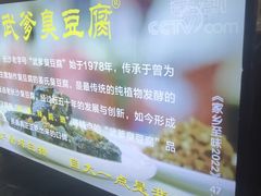 -武爹臭豆腐(坡子街店)