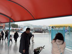 -海合安武汉极地海洋公园