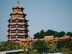 -铁山坪森林公园