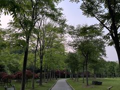 -东湖落雁景区