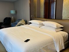 -郑州美盛喜来登大酒店