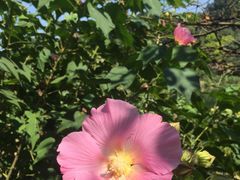 -一江春水·杭帮臻宴(三台山店)